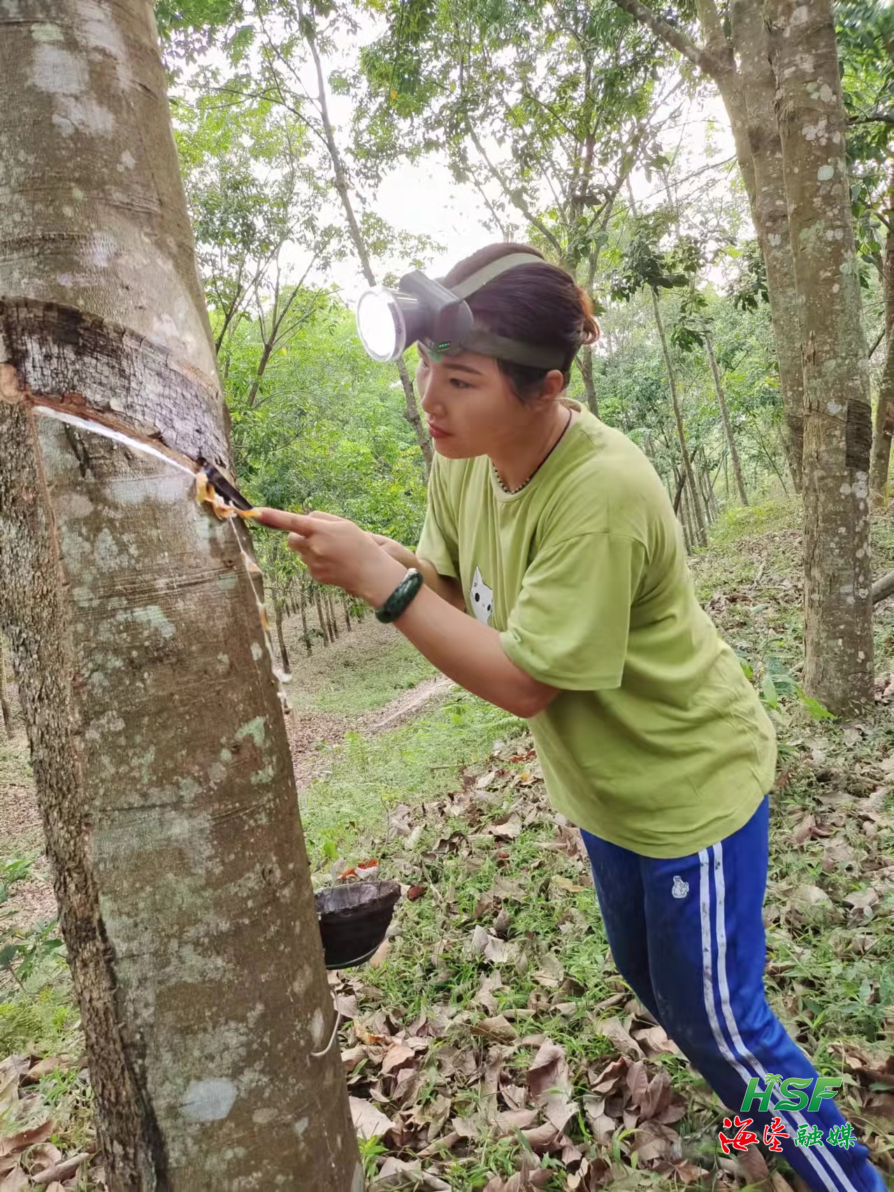 1702002269088044674.png 1702002269088044674.png