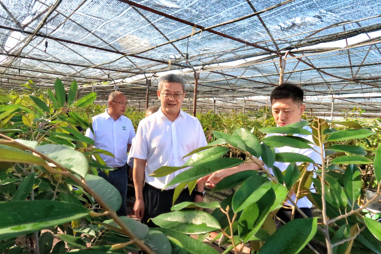 1704939110312012584.png 1704939110312012584.png