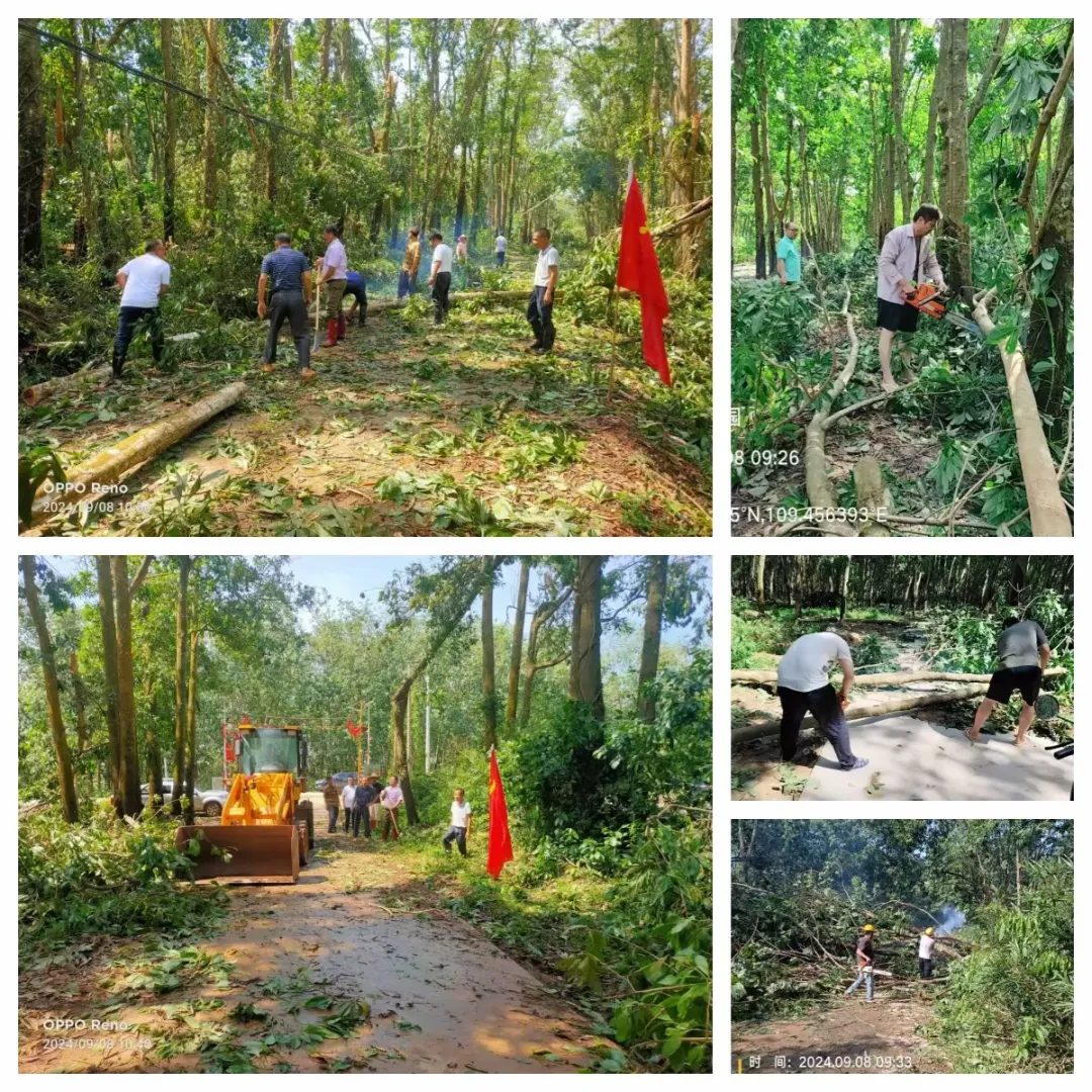 1726058419266061892.jpg 1726058419266061892.jpg