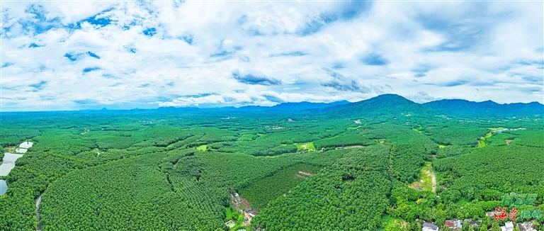 1737516660909040433.jpg 1737516660909040433.jpg