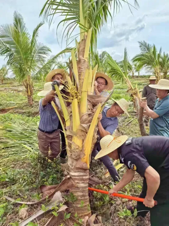 1741879710248058383.jpg 1741879710248058383.jpg