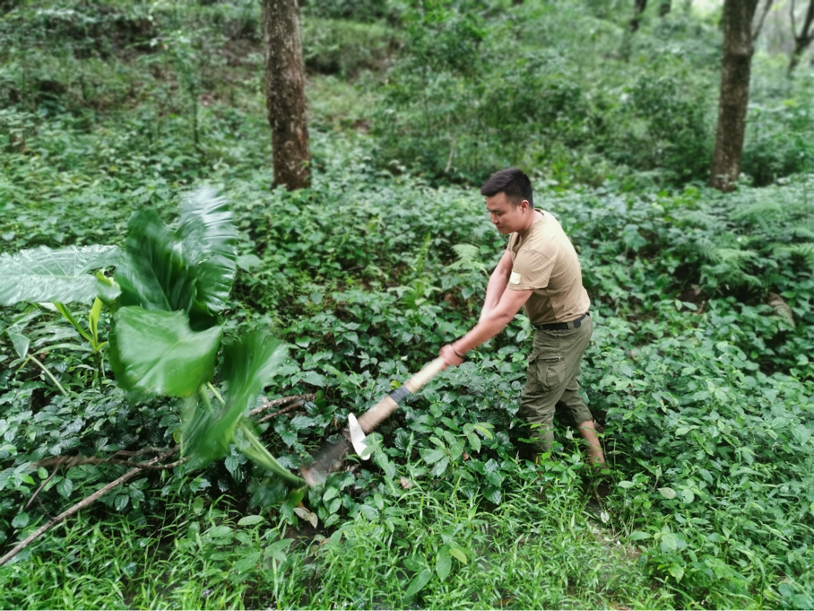 1747730757190002022.jpg 1747730757190002022.jpg