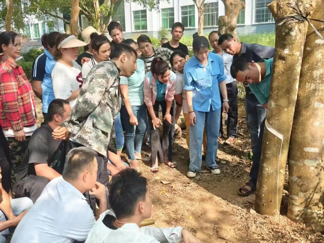 1747731730776085316.jpg 1747731730776085316.jpg